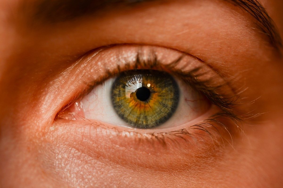 Oczy to ekstrawagancki organ. To dokładnie dzięki nim doświadczamy.
