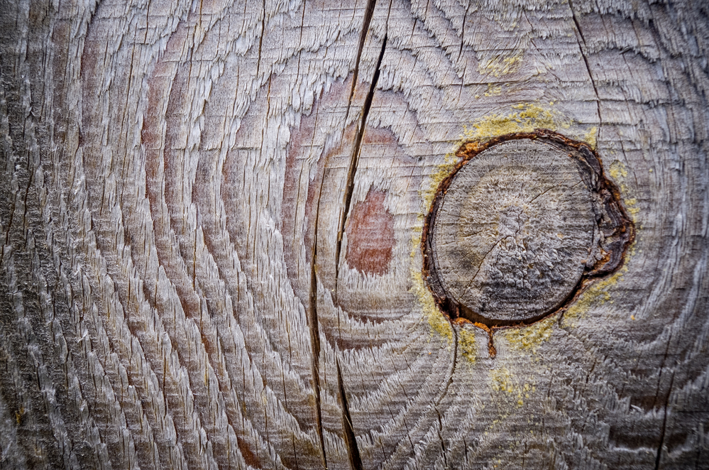 Tartak – Źródło Wspaniałego Drewna: Buduj Z Pasją i Wytrzymałością.